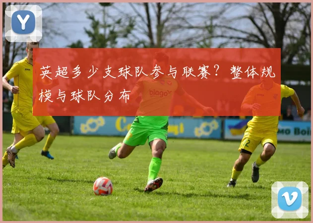 英超多少支球队参与联赛？整体规模与球队分布