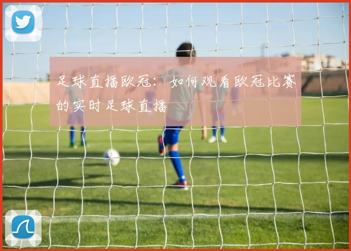 足球直播欧冠：如何观看欧冠比赛的实时足球直播