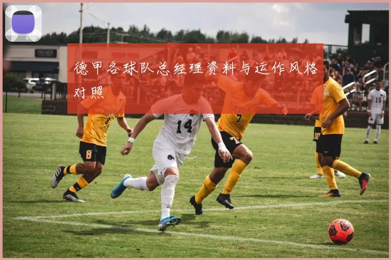 德甲各球队总经理资料与运作风格对照